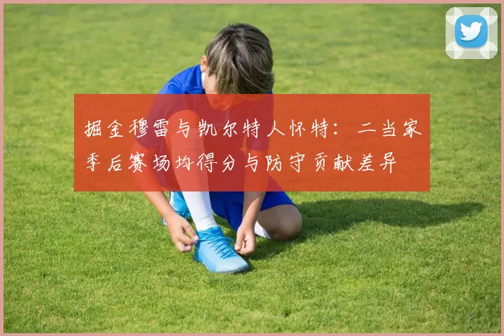 掘金穆雷与凯尔特人怀特:二当家季后赛场均得分与防守贡献差异