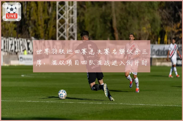 世界羽联巡回赛总决赛名额仅余三席，混双项目四队混战进入倒计时