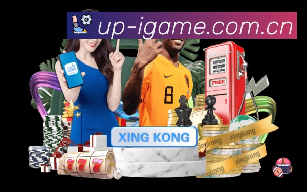 功能图2