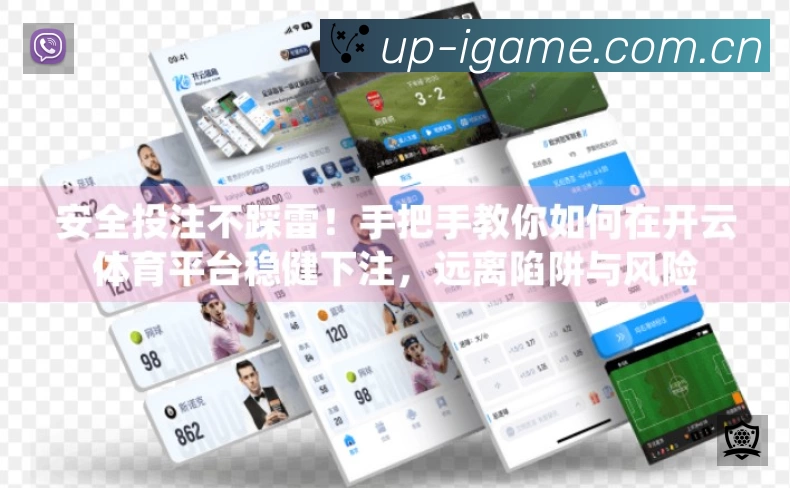 安全使用与支持流程